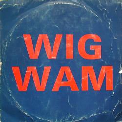 Wigwam cover