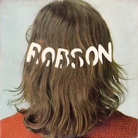 Robson sleeve - front